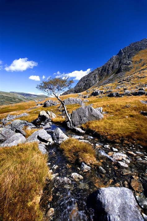 Tryfan Mountain in the Snowdonia National Park Wales Stock Photo ...