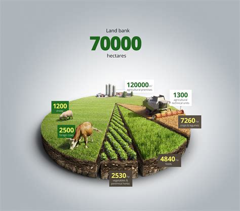 Infographic Agro Chart Illustration Data Visualization By Anton