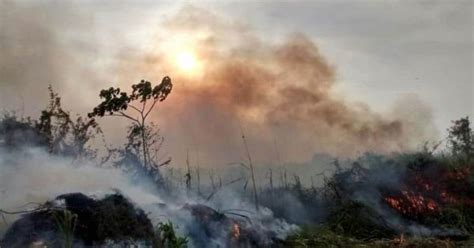 50 Incendios De Pastizales Se Registran En Tabasco