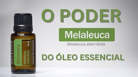 MELALEUCA O PODER DOS ÓLEOS ESSENCIAIS ÓLEOS ESSENCIAIS DA DOTERRA