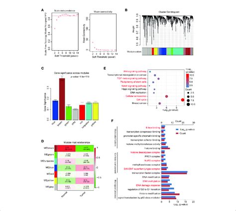 Construction Of Co Expression Modules By Weighted Gene Co Expression