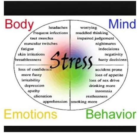 How Do Emotions Affect The Human Body And Cause Diseases Hubpages