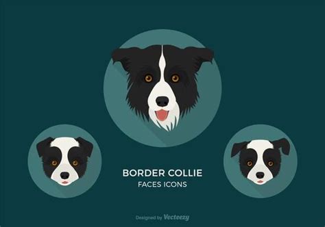 Border Collie Vector Art, Icons, and Graphics for Free Download