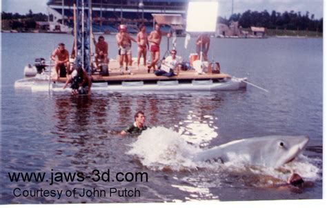 Jaws 3d Blog Archive Trading Card 2944