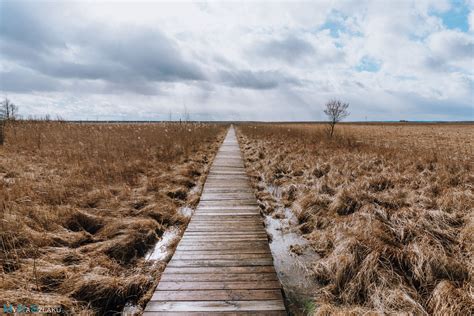 Biebrzański Park Narodowy Czerwone Bagno Łosiostrada i Długa Luka