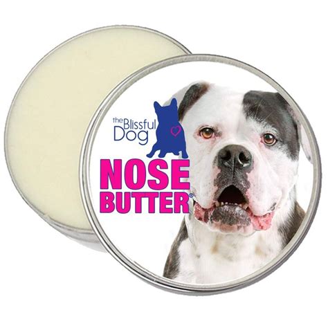 The Blissful Dog Nose Butter for Dry Dog Nose | Dog nose butter, Dry ...