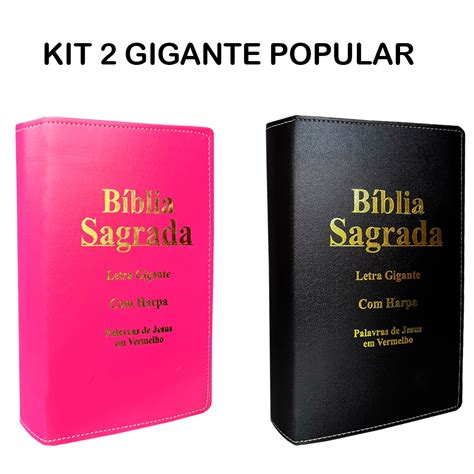 Kit Biblias Sagrada Letra Gigante Luxo Popular Preta E Pink