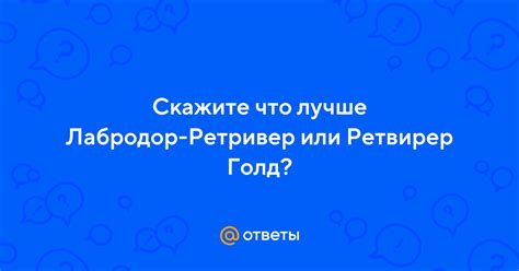 Ответы Mail: Скажите что лучше Лабродор-Ретривер или Ретвирер Голд?