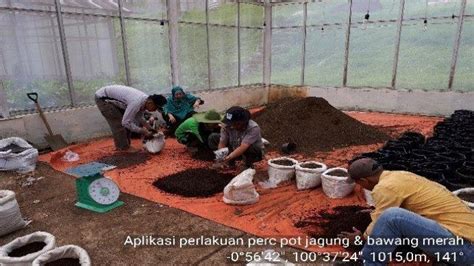 Pln Dorong Kualitas Lingkungan Yang Lebih Baik Siap Optimalkan