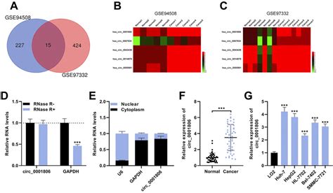 Circ 0001806 Is Up Modulated In Hepatocellular Carcinoma Hcc A 15