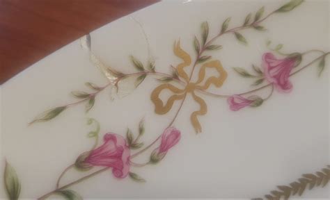 Proantic Service Assiettes 74 Pièces Porcelaine Limoges Raynaud Modèl