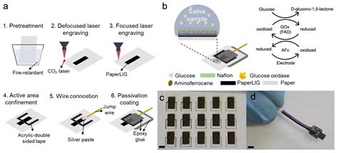 Biosensors Free Full Text A Mediated Enzymatic Electrochemical