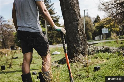 Native Tree Planting By Danny Rood Truestock