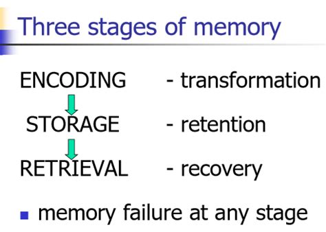 Memory Flashcards | Quizlet
