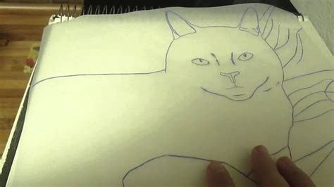 Using Tracing Paper To Transfer A Cat Drawing On To Canvas Youtube