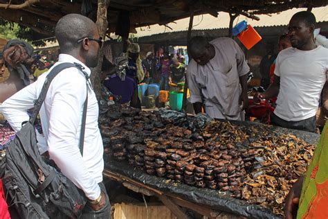 Smoked Fish Mada Station Market Agidi Nasarawa Nigeria Jujufilms