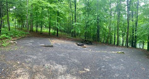 Site 10 Jacobs Creek Campground Tn