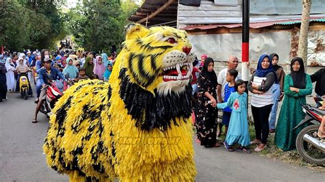 ATRAKSI CAN MACANAN MILKI SUKOSARI DESA KERANG PART2 DRUMBAND MACAN