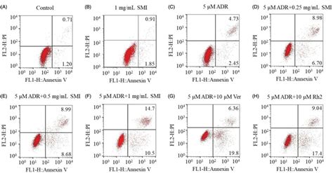 Flow Cytometric Analysis Of Adr Induced Apoptosis Of Mcf Adr Cells