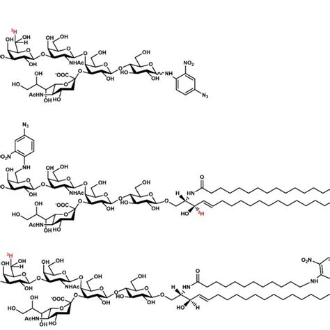 Chemical Structure Of A The Tritium Labeled Photoactivable Download Scientific Diagram