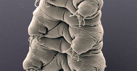 Uncovering the hidden creatures of New Jersey