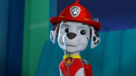 Marshall Pup Fanatic Marshall Paw Patrol Paw Patrol Pups Paw Patrol