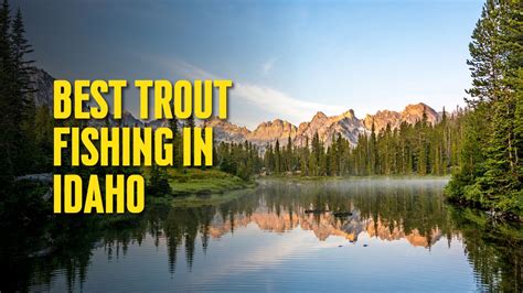 Best Trout Fishing Spots In Idaho The Outdoor Tips