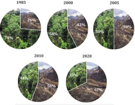 Deforestaci N Qu Es Datos Causas Y Consecuencias De La Deforestaci N