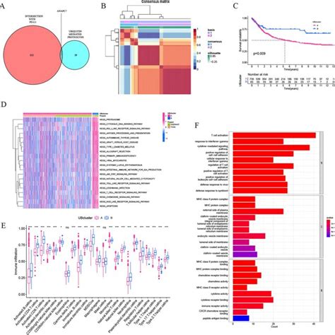 Construction And Verification Of The Prognostic Risk Signature A B