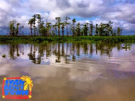 Agusan del Sur: Agusan Marsh Wildlife Sanctuary | Ivan About Town