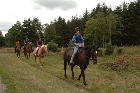 Horse Riding In The New Forest Forestry England