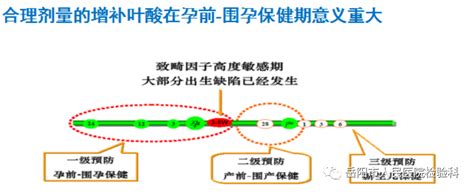 【医疗资讯】检验科新项目 亚甲基四氢叶酸还原酶（mthfr）基因检测