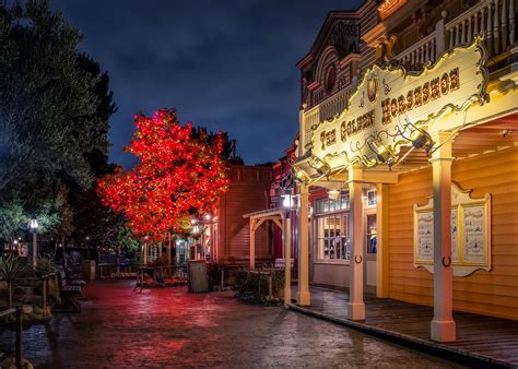 4k Usa Disneyland Parks Castles California Anaheim Design Night