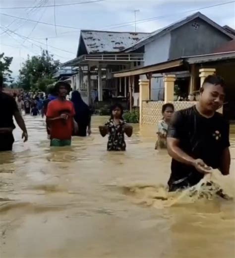 Langsa Dan Aceh Timur Dilanda Banjir Kiriman