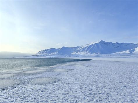 Svalbard 2017-425 | OLYMPUS DIGITAL CAMERA | thomasconstant1 | Flickr