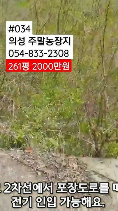 매물번호 034 의성 주말농장지 2000만원매매 054 833 2308 의성촌집의성주택경북시골집의성부동산의성땅군위