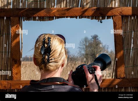 Nature Photography Photography From The Observation Stand Stock Photo