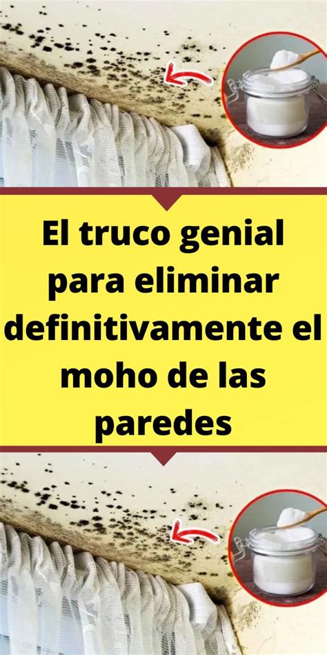 El Truco Genial Para Eliminar Definitivamente El Moho De Las Paredes