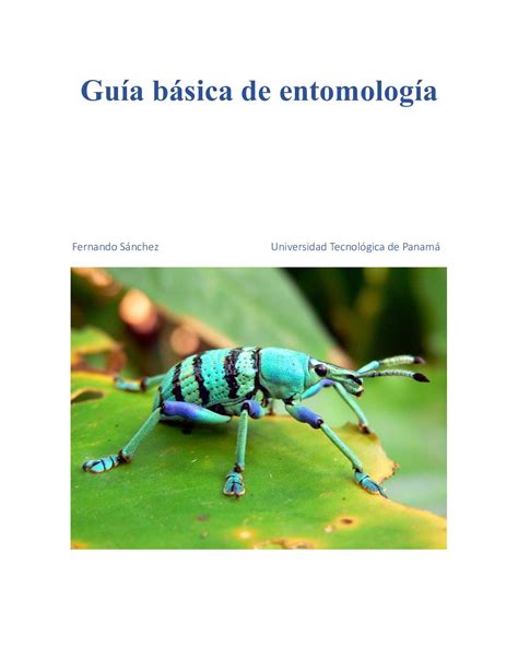 Calaméo Manual de Entomología general