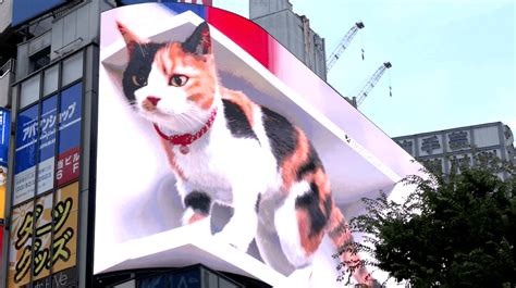 A Giant 3d Cat On Tokyo Billboard Dazzles Passersby