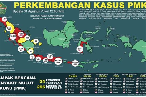 197 Juta Hewan Ternak Di Indonesia Telah Divaksin Pmk Antara News