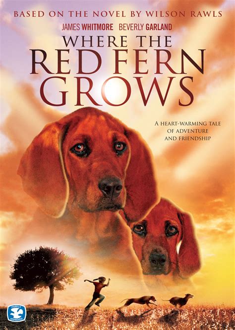 Where The Red Fern Grows Movie Poster