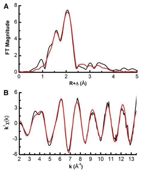 Hpureg Zinc K Edge Extended X Ray Absorption Fine Structure Exafs