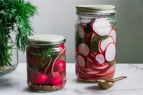 Quick Dill Pickled Radishes Refrigerator Pickled Radishes With Fresh Dill