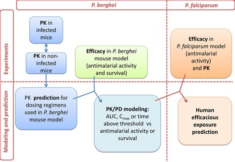 Population Pk Pd Analysis What Why How And When Insights Off