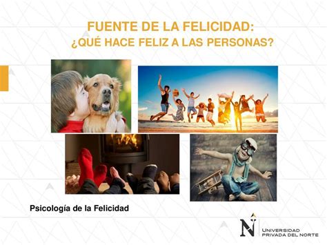 PSIFE S13 Fuente de la Felicidad Study Ingeniería uDocz