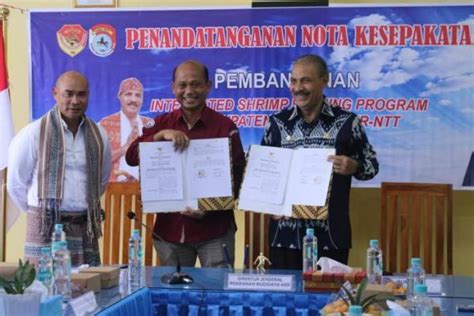 Djpb Kkp Pemkab Sumba Timur Teken Mou Kelola Kawasan Perikanan Budidaya