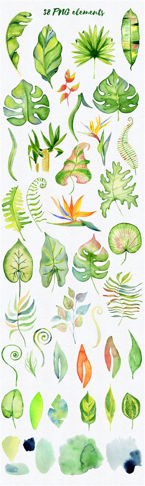 Tropical Leaves Watercolor Jungle Clipart 90 PNG By EvgeniiasArt