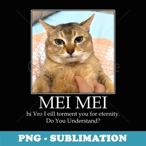 Mei Mei Cat Lover Do You Understand Cat Meme Png Transpare Inspire
