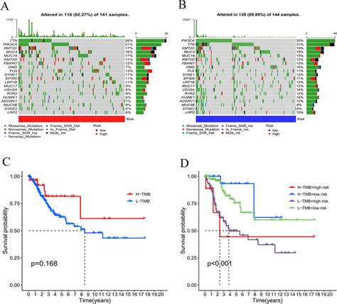 Correlation Of Tumor Mutation Burden Tmb With Survival Outcomes A Download Scientific